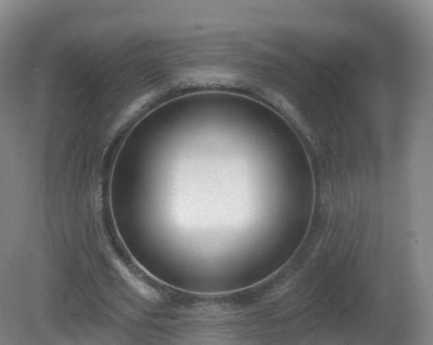 X0000081340629200701182021