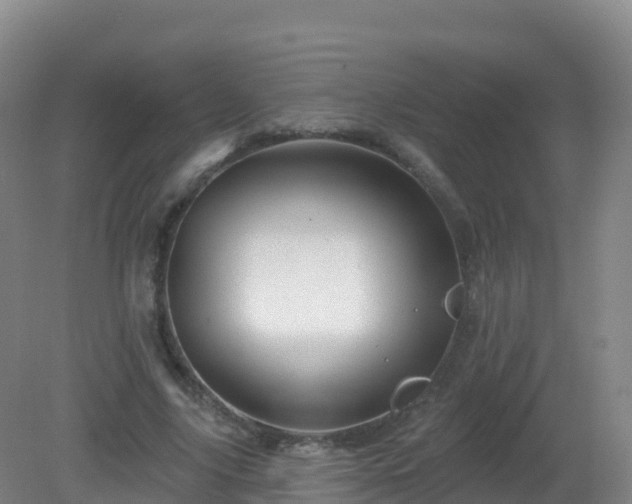 X0000081340635200701182021