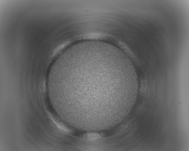 X0000081340636200701182021