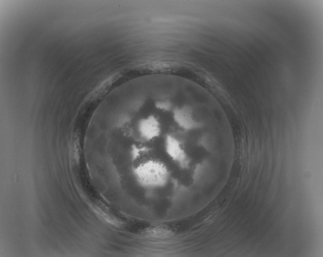 X0000081340644200701182022