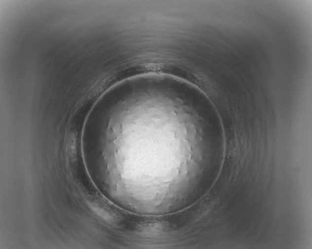 X0000081340646200701182022