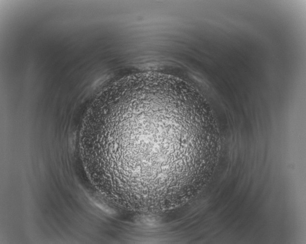 X0000081340652200701182022