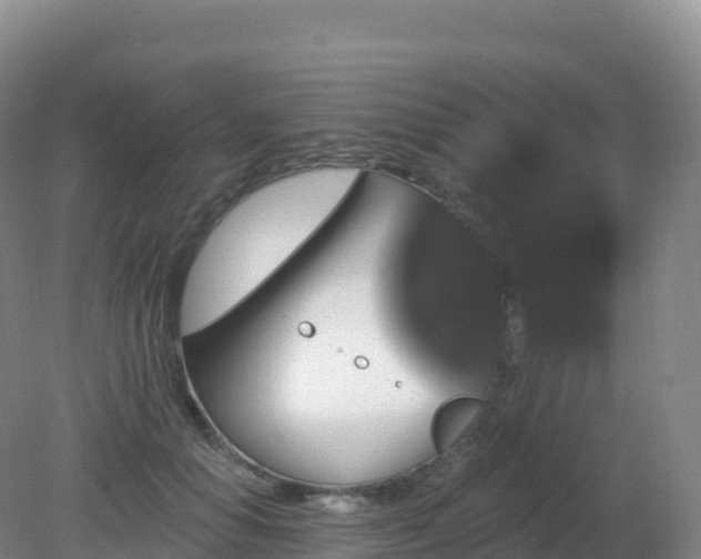 X0000081340654200701182022
