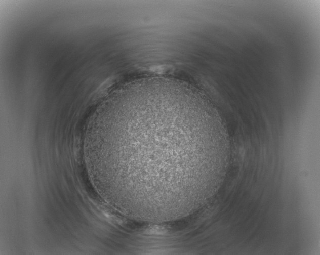 X0000081340656200701182022