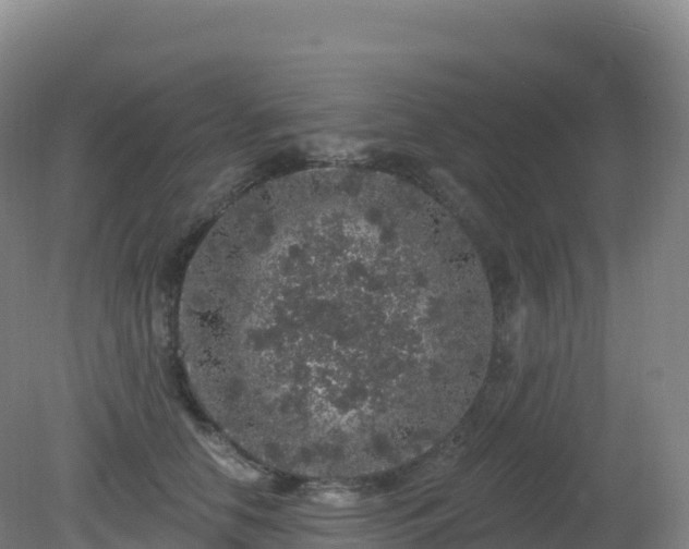 X0000081340658200701182022