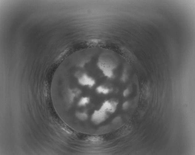 X0000081340659200701182022