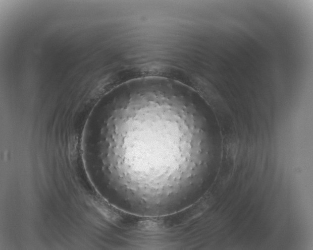X0000081340660200701182022