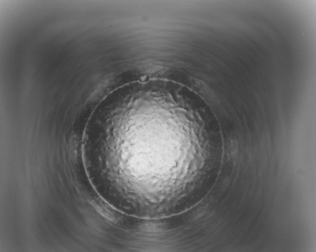 X0000081340664200701182022