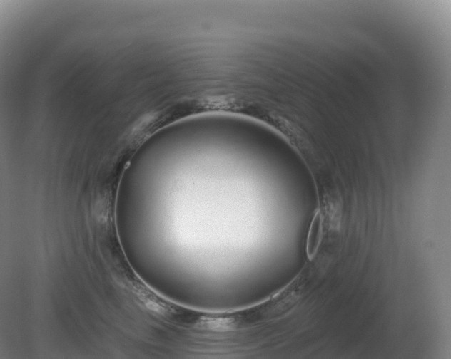 X0000081340665200701182022