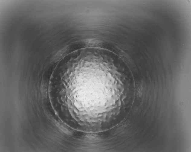 X0000081340666200701182022