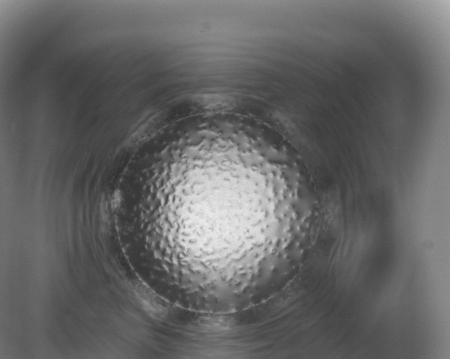 X0000081340667200701182022