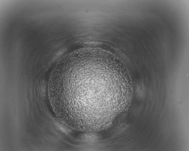 X0000081340668200701182022