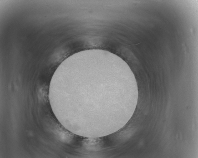 X0000081340672200701182022