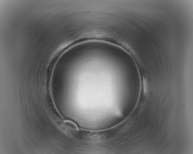 X0000081340675200701182021