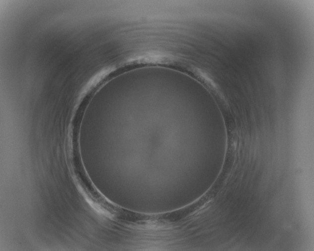 X0000081340678200701182021