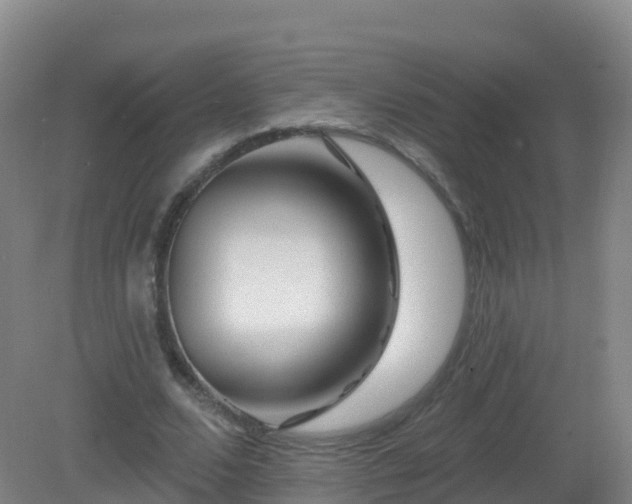 X0000081340680200701182021