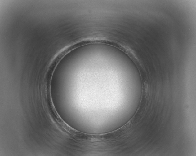 X0000081340684200701182021