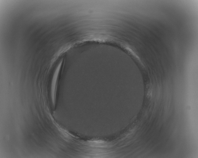 X0000081340685200701182021