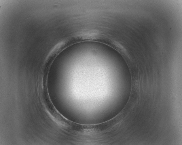 X0000081340686200701182021