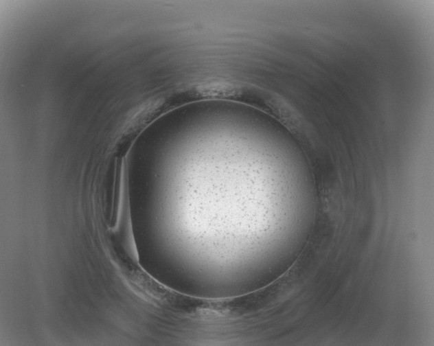 X0000081340690200701182021