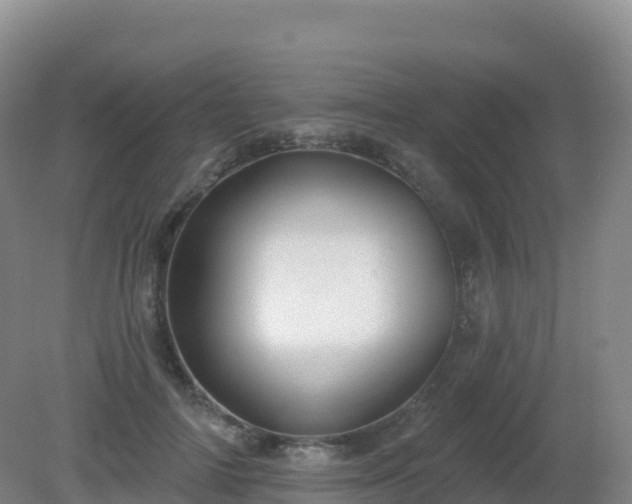 X0000081340698200701182021