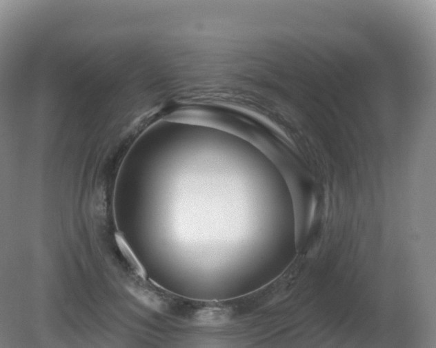 X0000081340700200701182021