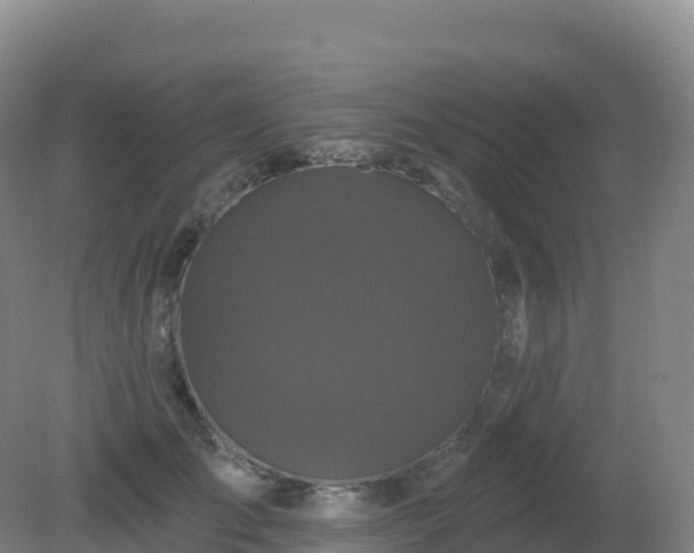 X0000081340701200701182021