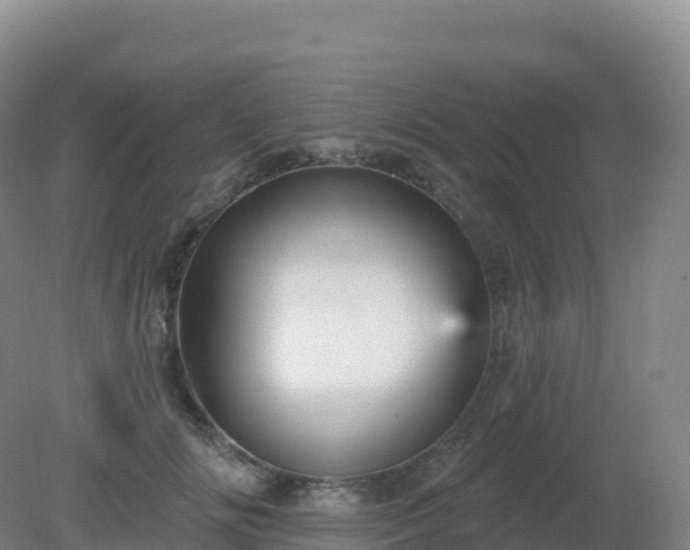 X0000081340702200701182021