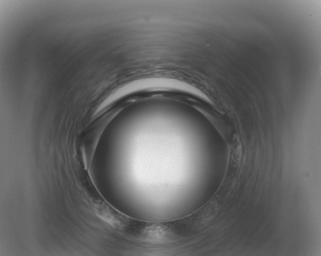 X0000081340704200701182021
