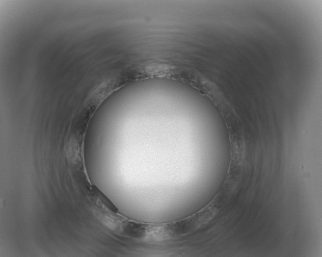 X0000081340705200701182021