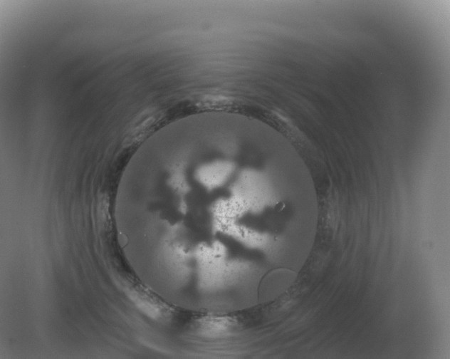 X0000081340711200701182021