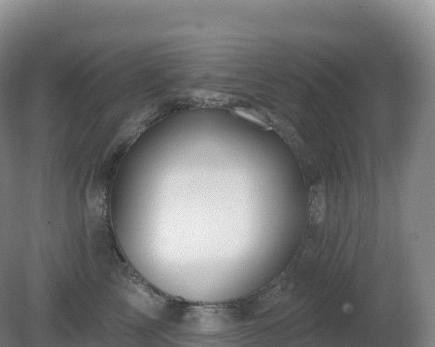 X0000081340713200701182021