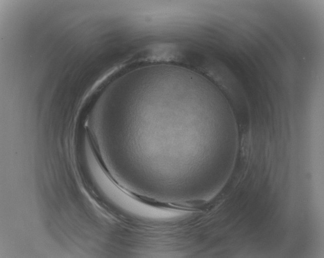 X0000081340722200701182020