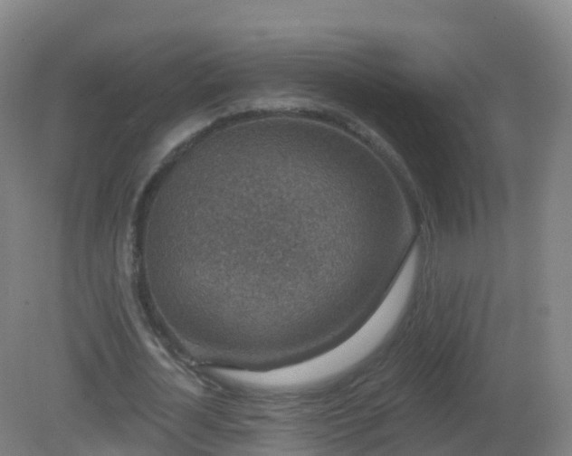 X0000081340724200701182020