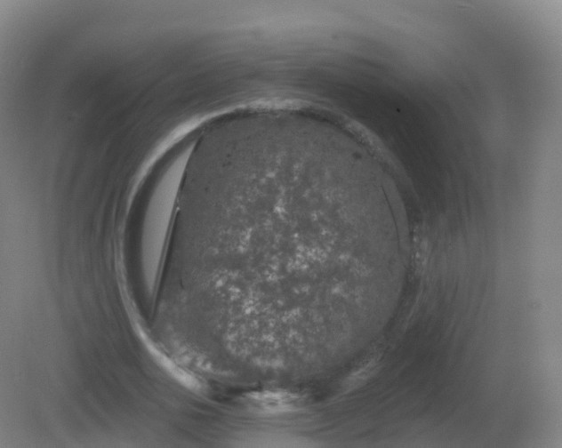 X0000081340726200701182020