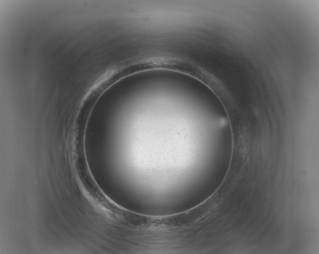 X0000081340730200701182020