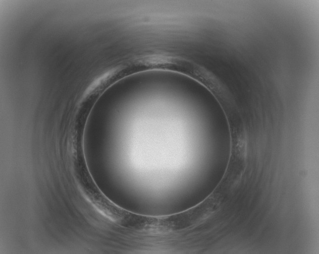 X0000081340732200701182020