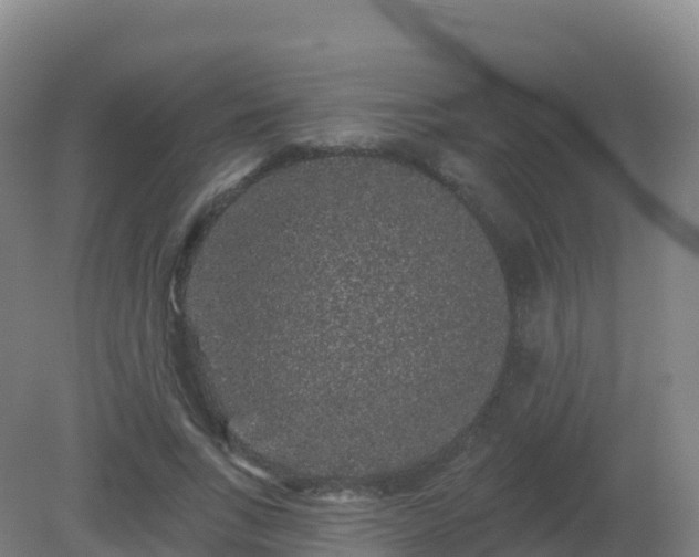 X0000081340735200701182020