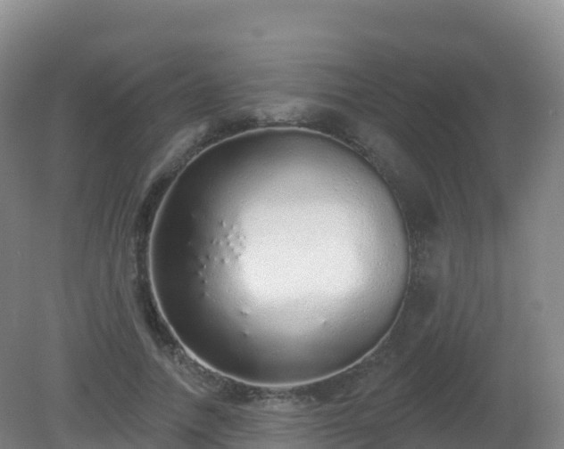 X0000081340738200701182020