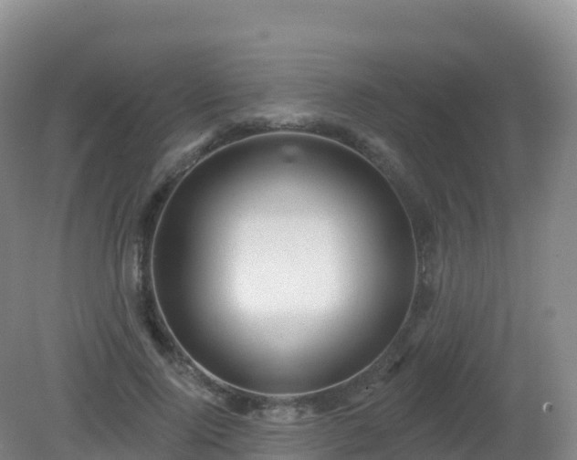 X0000081340740200701182020