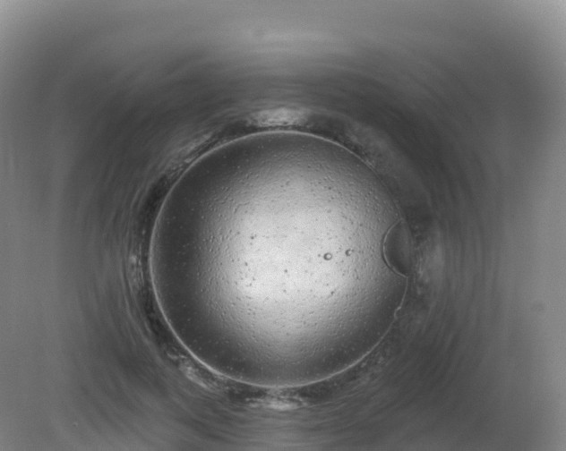 X0000081340743200701182020