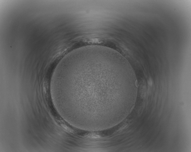 X0000081340747200701182020