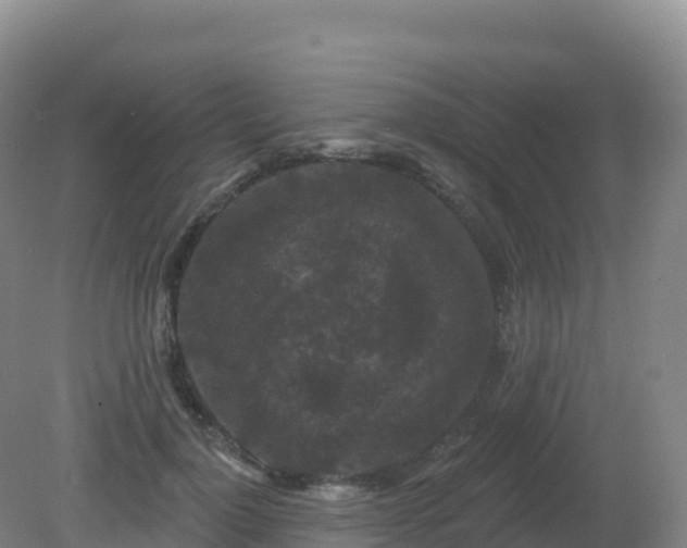 X0000081340748200701182020