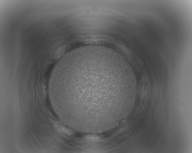 X0000081340749200701182020