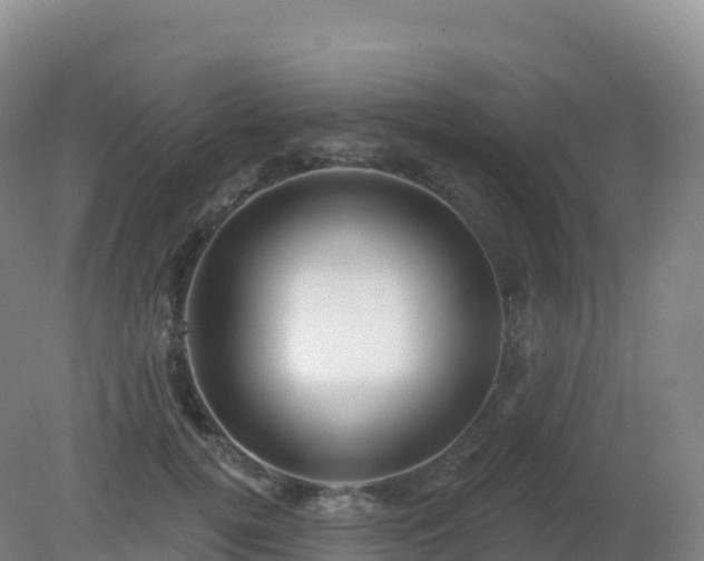 X0000081340752200701182020