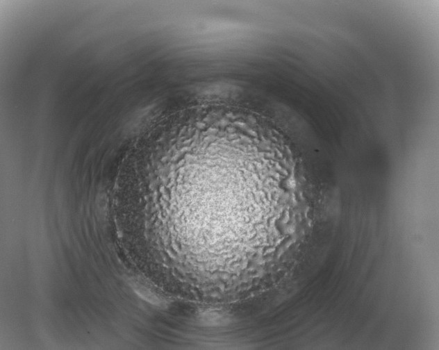 X0000081340753200701182020
