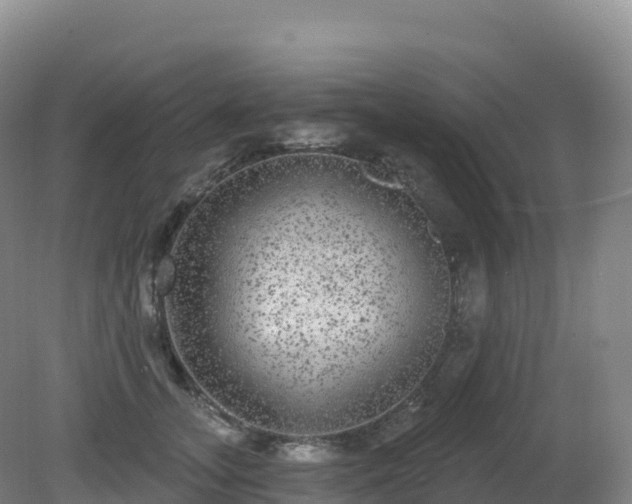X0000081340755200701182020