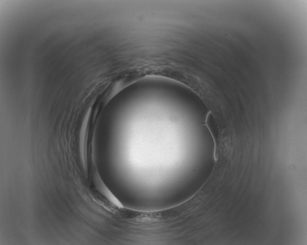 X0000081340756200701182020