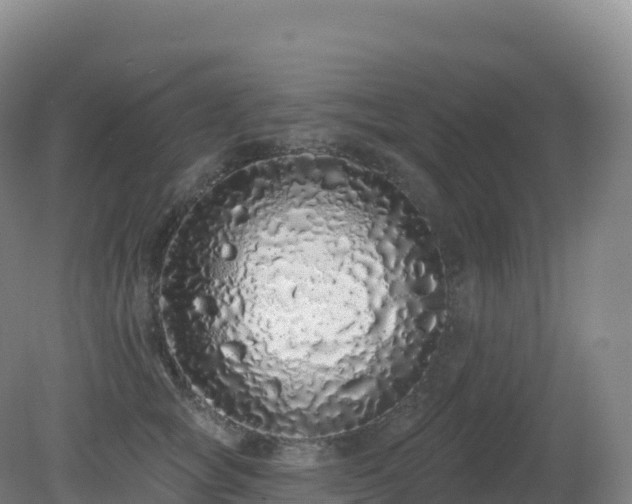 X0000081340757200701182020