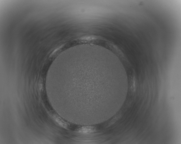 X0000081340758200701182020